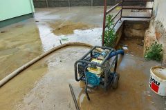 208259274_1806481486218396_9222689208201607012_n