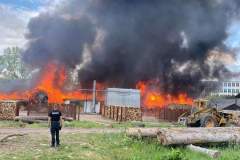 FB_IMG_1659594163266