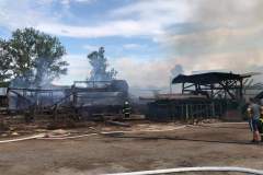 received_373051704961624