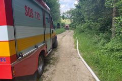 8ADF3971-7C6D-442A-9E16-4081E8B952D0