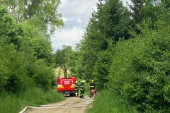 E403CC9E-17E4-4D3C-8799-7886625D3276