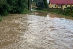 IMG-20210816-WA0002