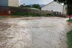 IMG-20210816-WA0003