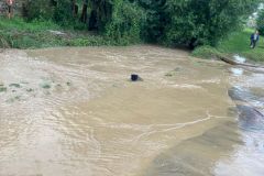 IMG-20210816-WA0004